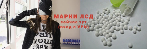 трава Карпинск