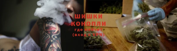 трава Карпинск