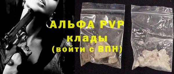 трава Карпинск