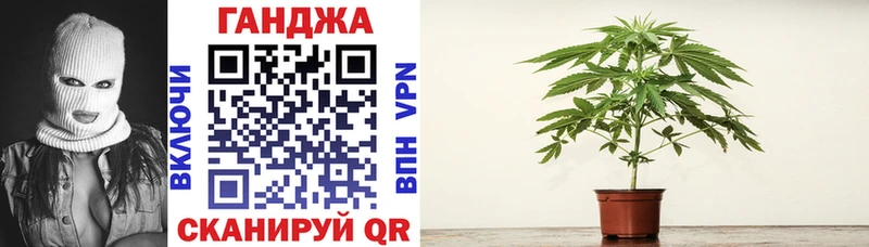 Купить где  Новый Оскол  Каннабис конопля 